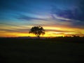 Marche region, Italy. Sunset, colours, sentiments, tree and fairytale Royalty Free Stock Photo