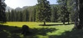 Marchenwiese - mounain meadow in Karawanken Royalty Free Stock Photo