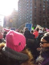 Knit Pink Hat, Women`s March, NYC, NY, USA