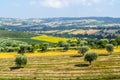 Marches (Italy), landscape