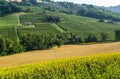 Marches (Italy), landscape Royalty Free Stock Photo