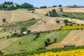 Marches (Italy), landscape Royalty Free Stock Photo