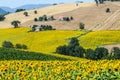 Marches (Italy), landscape Royalty Free Stock Photo
