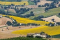 Marches (Italy) - Landscape Royalty Free Stock Photo