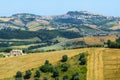 Marches (Italy), Landscape Royalty Free Stock Photo