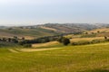 Marches (Italy) - Landscape at summer Royalty Free Stock Photo