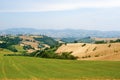 Marches (Italy) - Landscape at summer Royalty Free Stock Photo