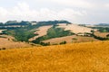 Marches (Italy) - Landscape at summer Royalty Free Stock Photo
