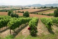 Marches (Italy), Landscape at summer Royalty Free Stock Photo