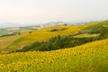 Marches (Italy) - Landscape at summer Royalty Free Stock Photo