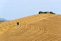 Marches (Italy) - Landscape at summer, farm Royalty Free Stock Photo