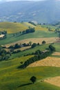 Marches, landscape at summer