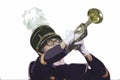 Marching Band Trumpet Solo Illustration Royalty Free Stock Photo