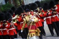 Marching Guardsmen Royalty Free Stock Photo