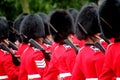Marching Guardsmen Royalty Free Stock Photo