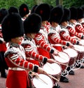 Marching Guardsmen Royalty Free Stock Photo
