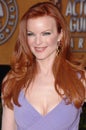 Marcia Cross Royalty Free Stock Photo