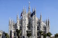 Marco Bay project for installation of `Milan Garden of the twentieth and twenty-first century` in Piazza Duomo