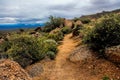 Marcus Landslide Trail at McDowell Mountains