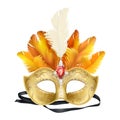 Mardi Gras carnival face mask realistic vector Royalty Free Stock Photo