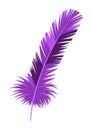 Mardi Gras carnival violet feather.