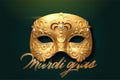 Mardi gras exquisite golden mask