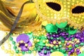 Mardi Gras Mask