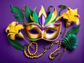 Mardi Gras Mask Royalty Free Stock Photo