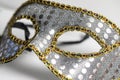 Mardi Gras Mask