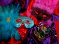 Mardi Gras Masks