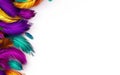 Mardi Gras poster. A banner template with Venetian masquerade purple and yellow feathers isolated on white background, copy space Royalty Free Stock Photo