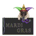 Mardi gras pug dog with carnival hat, beads and venetian mask hanging on blackboard sign with text