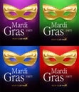 Mardi Gras set of golden carnival masks with ornaments for poster, greeting card, party invitation, banner or flyer on beautiful r Royalty Free Stock Photo