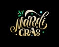 Mardi Gras - vector illustration with hand lettering