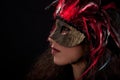 Mardi Mask Royalty Free Stock Photo