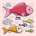 Colored Fish Life Cycle Illustration