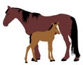 Mare with a foal