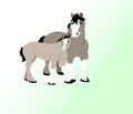 Mare and Foal Draft Horses Royalty Free Stock Photo