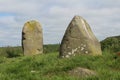 Mare and Foal Standing Stones Hadrians Wall Northumberland
