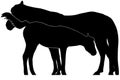 Mare and foal vector graphic Royalty Free Stock Photo