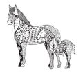 Mare with little foal zentangle stylized. Freehand pencil. Zen art. Vector illustration. Royalty Free Stock Photo