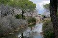 Maremma national park