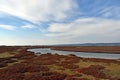 Lagoon, marshy environments are found near the mouth of Kavak stream, Gelibolu, Turkey, Gulf of Saros Royalty Free Stock Photo