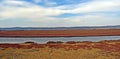 Lagoon, sandbar, marshy environments