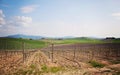 Maremma Tuscany Royalty Free Stock Photo
