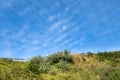 Mares Tails - Cirrus Uncinus Clouds Royalty Free Stock Photo