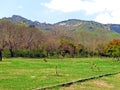 Margalla Hills, Islamabad, Pakistan