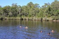 People swimming in Margaret river in South Western Australia