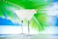 Margarita cocktail on beach with seascape background Royalty Free Stock Photo