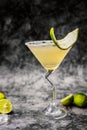 Margarita Cocktail Drink Photography Foodphotography Royalty Free Stock Photo